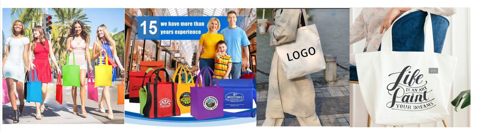 Non Woven Shopping Bag