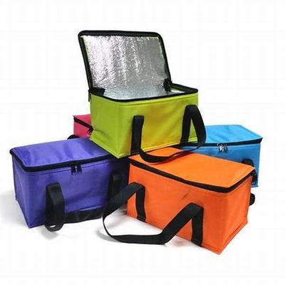 Custom 6pcs beer cans bottles cooler bag  insulated promotion thermal lunch picnic bag