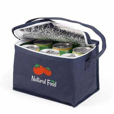 Outdoor Portable Insulated Thermal Bags Bulk Keep Your Refreshments Cool
