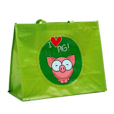 Laminated PP Nonwoven Tote Bags Eco Friendly 120g 14&quot;X16&quot;X10&quot;