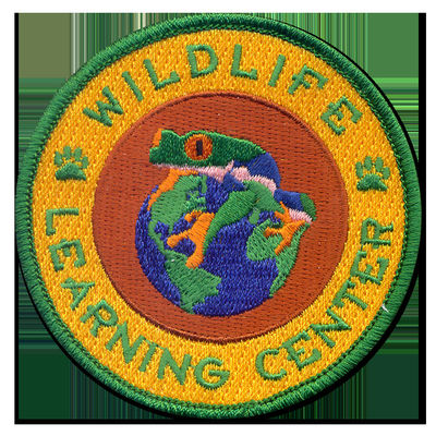 Custom Polyester cloth Garment Varsity Letter Patches Label Tags Washable